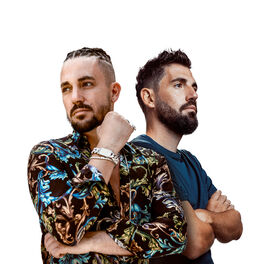 Artist picture of Dimitri Vegas & Like Mike