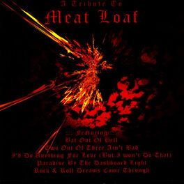 Artist picture of Various Artists - Meatloaf Tribute