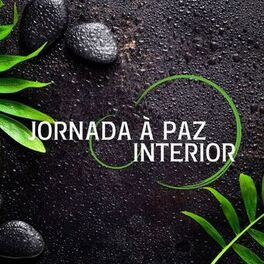 Artist picture of Terapia Musical