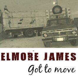 Artist picture of Elmore James