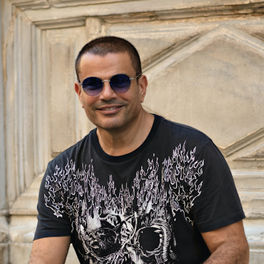 Artist picture of Amr Diab