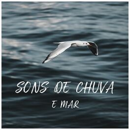 Artist picture of Sons de chuva para dormir