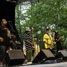 Artist picture of The Skatalites