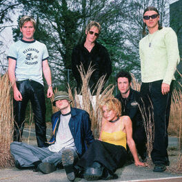 Artist picture of New Radicals