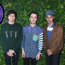 Wallows