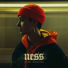Artist picture of NESS