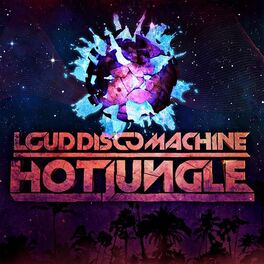 Artist picture of Loud Disco Machine