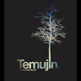 Artist picture of Temujin