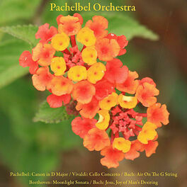 Artist picture of Pachelbel Orchestra