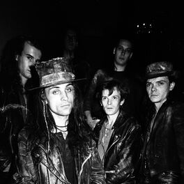 Artist picture of Fields of the Nephilim