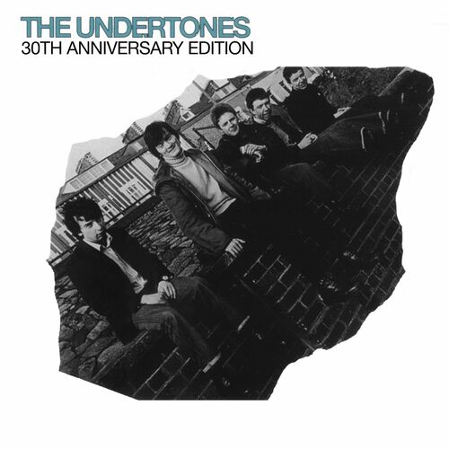 輸入盤CD/UNDERTONES/アンダートーンズ/70年代UKアイルランド初期パンクPUNK/STIFFLITTLE FINGERS/RUDI