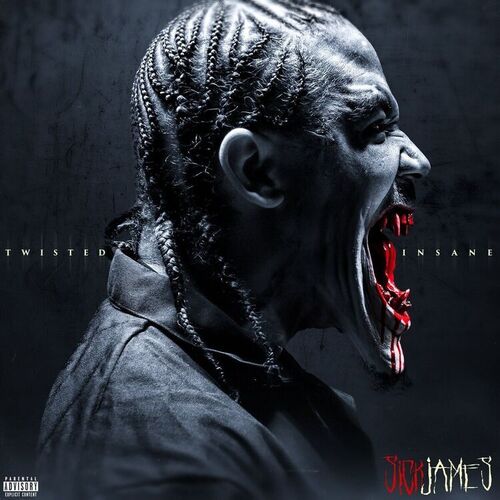 twisted insane the insane asylum 2 twisted insane the insane asylum 2