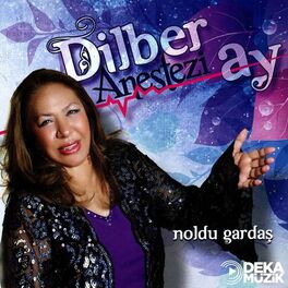 Artist picture of Dilber Ay