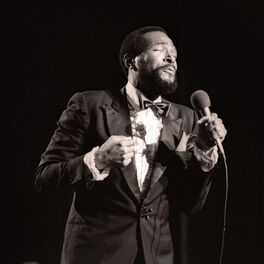 Artist picture of Marvin Gaye