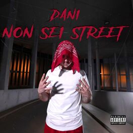 Artist picture of Dani