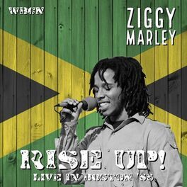 Artist picture of Ziggy Marley & The Melody Makers