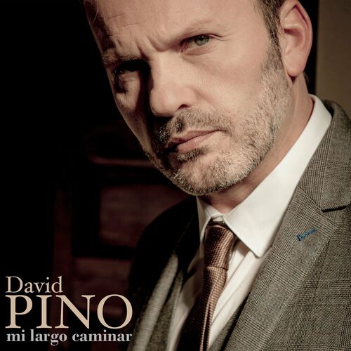 David on sale pino clarinet