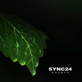 SYNC24