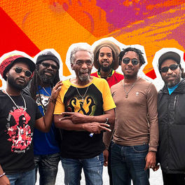 Artist picture of The Wailers