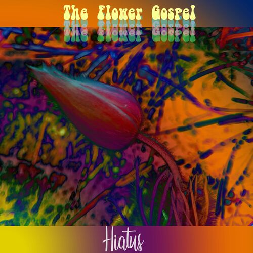 The Flower Gospel: músicas com letras e álbuns | Ouvir na Deezer