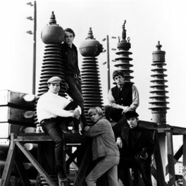 Artist picture of The Electric Prunes