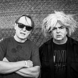 Artist picture of Melvins