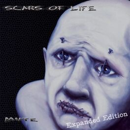 Artist picture of Scars of Life