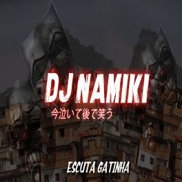 Artist picture of DJ NAMIKI