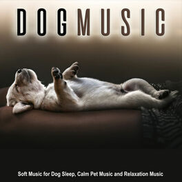 dog sleep music songs