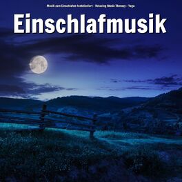 Artist picture of Musik zum Einschlafen funktioniert