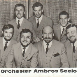 Artist picture of Orchester Ambros Seelos