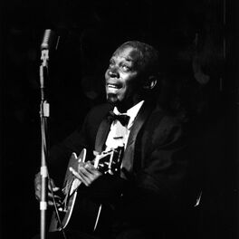 Artist picture of Skip James