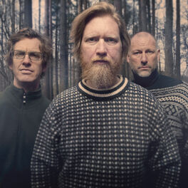 Artist picture of Helge Lien Trio