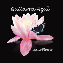Artist picture of Guitarra Azul