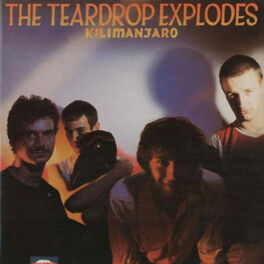 Artist picture of The Teardrop Explodes