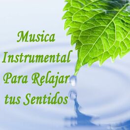 Artist picture of Musica Instrumental Para Relajar Tus Sentidos, Masaje Relajante Masters & Romantica De La Guitarra