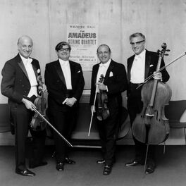 Artist picture of Amadeus Quartet