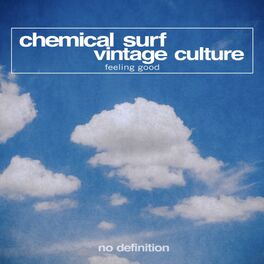 Artist picture of Vintage Culture & Chemical Surf