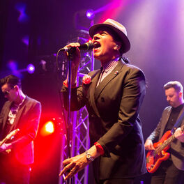 Artist picture of The Selecter