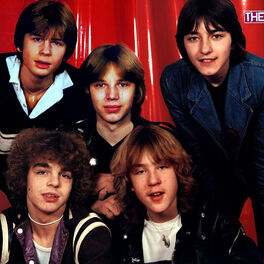Artist picture of The Teens