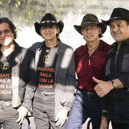 Los Felinos