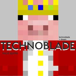 technoblade 🐷  Techno, Minecraft fan art, Mc skins