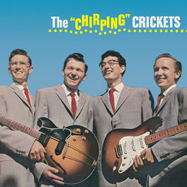 Artist picture of Buddy Holly & The Crickets