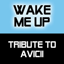 avicii discography wiki avicii discography wiki