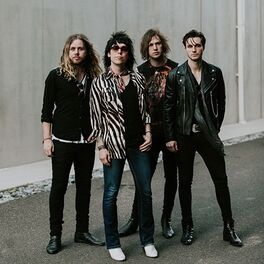 Artist picture of The Struts