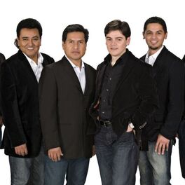 grupo brindy