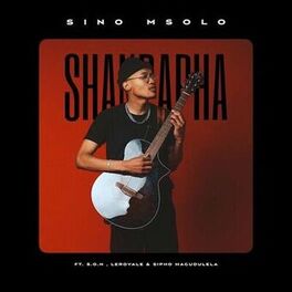 Sino Msolo