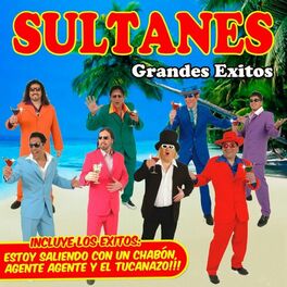 Artist picture of Los Sultanes