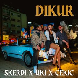 Skerdi