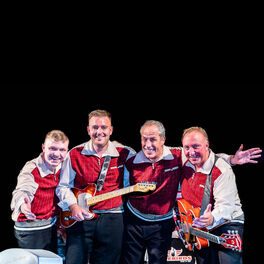 Artist picture of The Firebirds